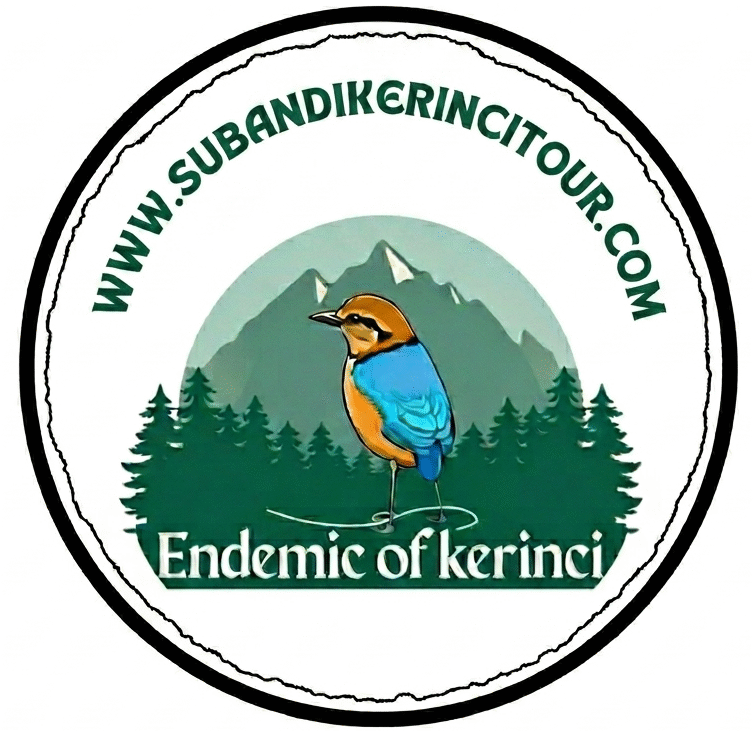 Subandi Kerinci Tour
